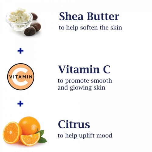 Shea butter, vitamin C, and citrus ingredients with their benefits on a white background